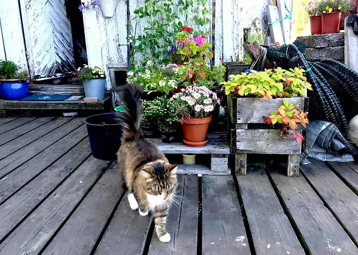 Fjordhotell - Unike 4* Tvedestrand